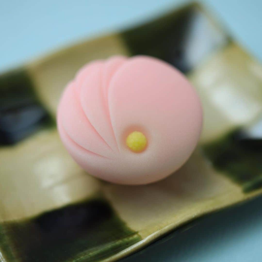 Toru Tsuchieさんのインスタグラム写真 - (Toru TsuchieInstagram)「今日の和菓子はねりきりで作った千代菊です。 ねりきりとは白餡に餅や芋を混ぜて作った和菓子で 茶道 で使われる「主菓子」の一種です。 撮影 用に作成しました。  フェイスブックページのいいね！もよろしくお願いします。 https://www.facebook.com/shishisu/ Today's wagashi is  chrysanthemum with Nerikiri. The Nerikiri is the material of wagashi made by mixing the rice cake and yam in white bean. Is a kind of "Jounamagashi" as used in the tea ceremony. The sweets I've made for the shooting.  #福泉堂  #和菓子  #おいしい #funny #my_eos_photo #出雲  #wp_delicious_jp #カメラ好きな人と繋がりたい  #写真好きな人と繋がりたい　 #model #life #可愛い #Japan #wagashi  #جميل #красивый #ファインダー越しの世界 #design #work #ig_color  #happy #Mignon  #igfood #lifestylenipponpic #photooftheday #สวย #sweets #kawaii #yummy」8月21日 6時59分 - choppe_tt