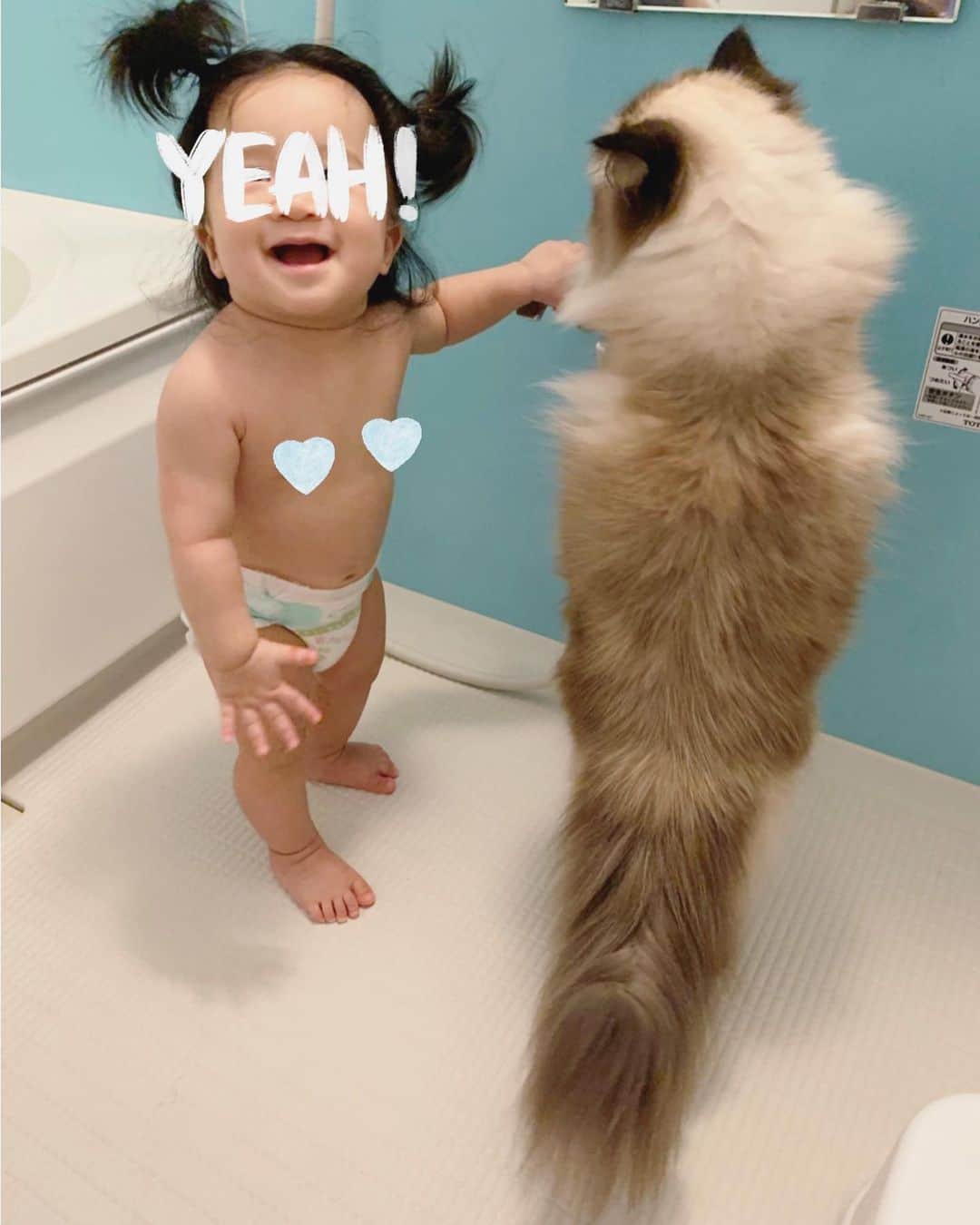 plumeのインスタグラム