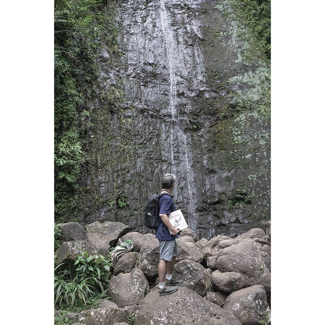 ballerina projectさんのインスタグラム写真 - (ballerina projectInstagram)「In 1994 what would become the genesis of the Ballerina Project was created at Manoa Falls in Honolulu Hawaii with Claire Unabia. To honor the images that started it all I recently returned to Manoa Falls with an advance copy of the soon to be released Ballerina Project book. It has been a long journey to come full circle.  The second and last image in this post was photographed by Anna Marcell @annamarcell  #ballerina - @claireunabia #ballerinaproject #ballerinaproject_ #manoafalls #manoa #honolulu #hawaii #claireunabia  The Ballerina Project book is now available for pre-order on Amazon. Link is located in our Instagram profile. #ballerinaprojectbook」9月5日 2時15分 - ballerinaproject_