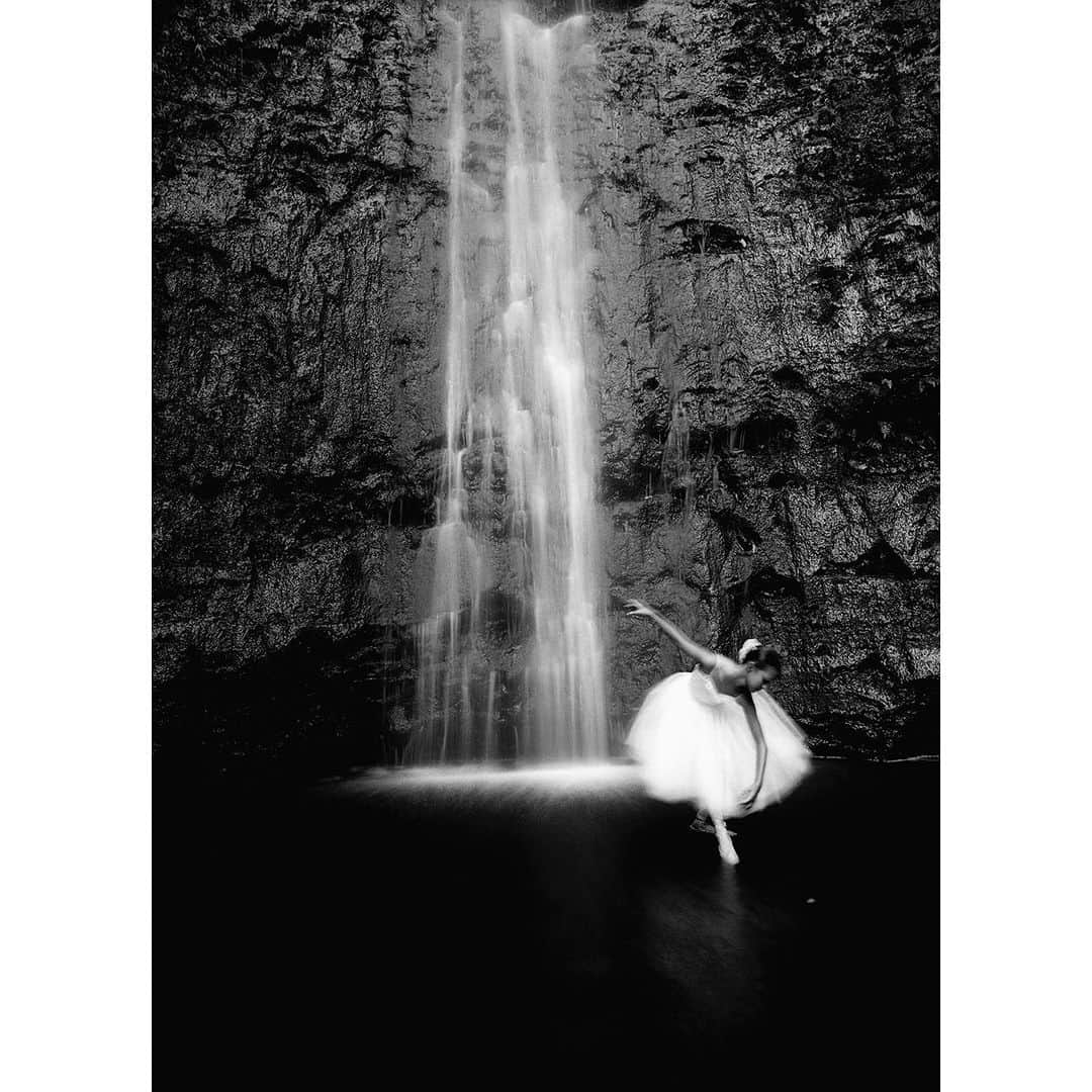 ballerina projectさんのインスタグラム写真 - (ballerina projectInstagram)「In 1994 what would become the genesis of the Ballerina Project was created at Manoa Falls in Honolulu Hawaii with Claire Unabia. To honor the images that started it all I recently returned to Manoa Falls with an advance copy of the soon to be released Ballerina Project book. It has been a long journey to come full circle.  The second and last image in this post was photographed by Anna Marcell @annamarcell  #ballerina - @claireunabia #ballerinaproject #ballerinaproject_ #manoafalls #manoa #honolulu #hawaii #claireunabia  The Ballerina Project book is now available for pre-order on Amazon. Link is located in our Instagram profile. #ballerinaprojectbook」9月5日 2時15分 - ballerinaproject_