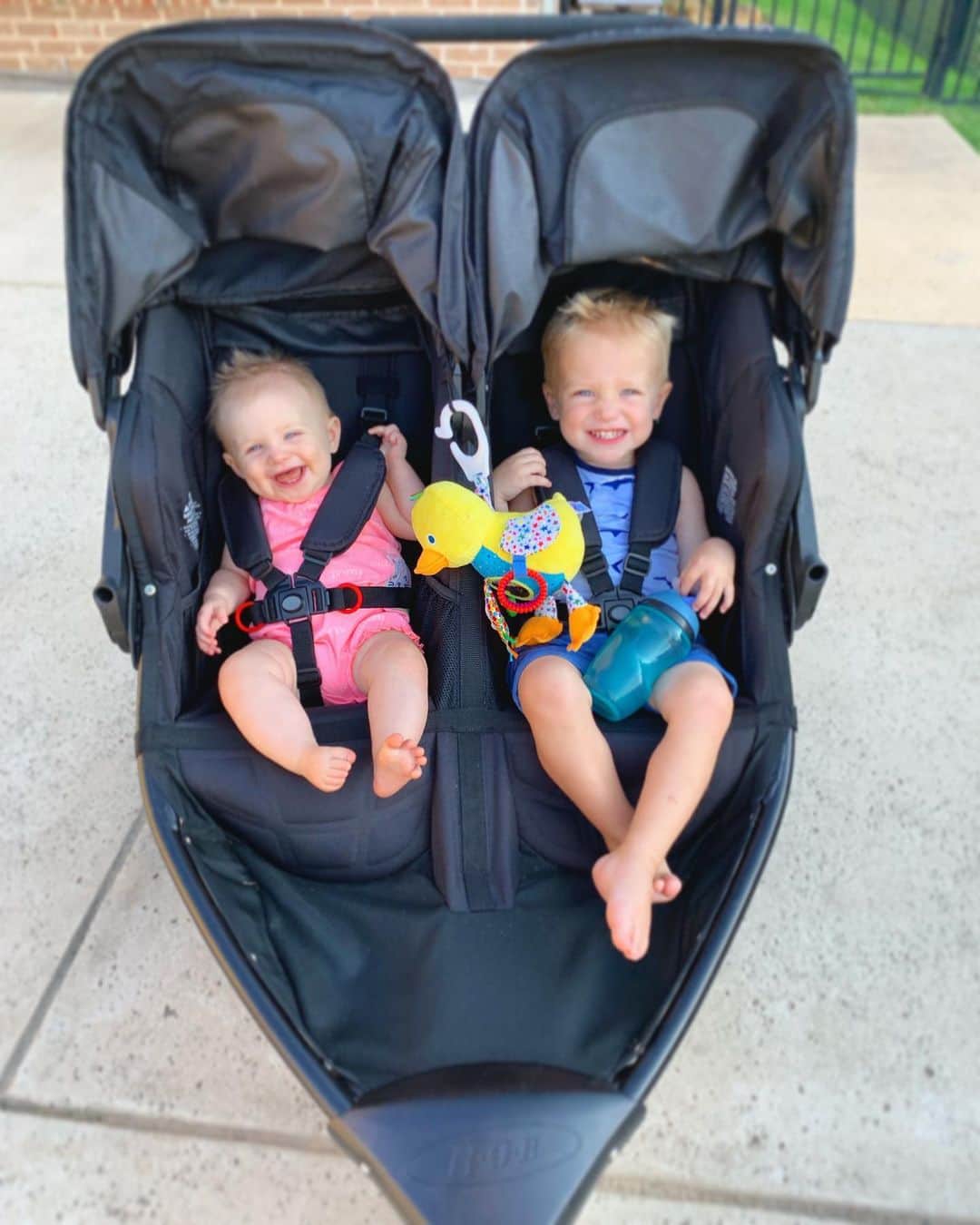 カーリー・パターソンのインスタグラム：「These babies are big fans of morning strolls👫」