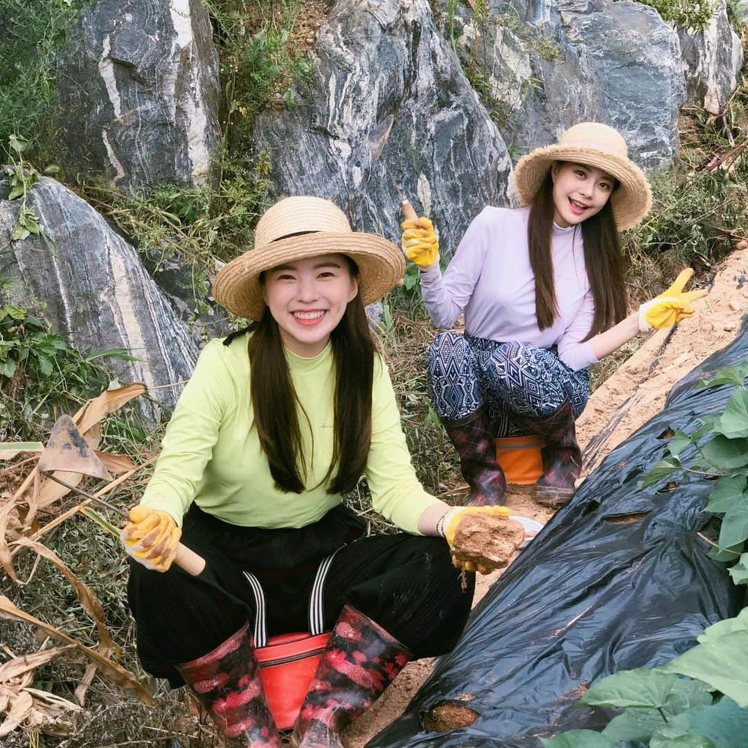 ハヌルさんのインスタグラム写真 - (ハヌルInstagram)「유튜브에 #하늘포레스트 올라갔다규💚🌱🌱 ㅋㅋㅋ 이번에는 민영언니랑 엄마 몸빼 빌려서 배추심고 무심고 쪽파심었다규」9月4日 18時45分 - haneulina