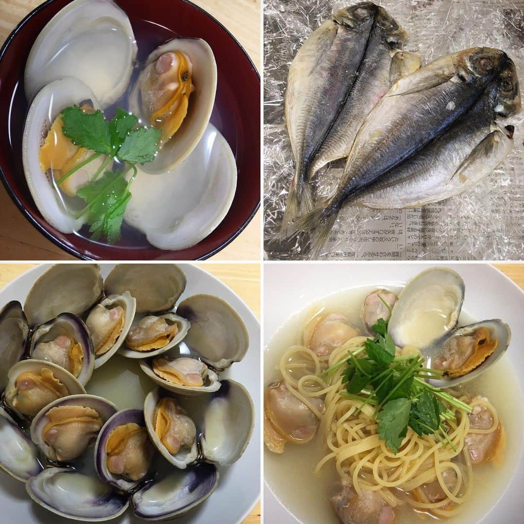 田中香子さんのインスタグラム写真 - (田中香子Instagram)「最後の夏休み2019 in 山中湖。 おみやげ編。  BBQ海鮮調達班から いただいた、干物と 巨大な鯛の尾頭付きと 大量の立派なハマグリ。 (ペットボトルはサイズ比較用)  あらゆるハマグリ料理と 鯛料理に挑戦しながら 3日かけて完食。  まだ冷凍庫に 干物と鯛めしおにぎりの 備蓄がありますが…  ごちそうさまでした！！！ #ごちそうばんざい #たまにはcooksoo  #鯛 #鯛めし #はまぐり  #japanesefeast  #feast #feastagram」9月4日 18時55分 - soo.yt
