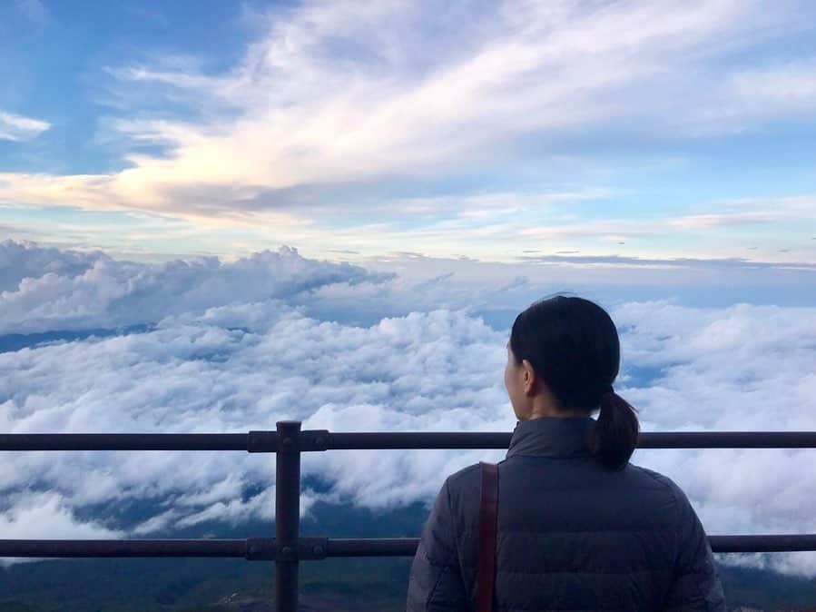 キタキマユさんのインスタグラム写真 - (キタキマユInstagram)「2019.9.2 人生初の、富士山に登ってきました✨🗻✨  2日間とも素晴らしい天候に恵まれ、雨に降られることなく、無事に山頂までたどり着くことが出来ました🌸✨✨✨  8合目で一泊休憩し、山頂のご来光を目指して、真夜中に山小屋を出発✨  美しい満点の星空の中🌌🌌🌌 ヘッドライトを頼りに、ひたすら岩の道を登り続けました🌸✨ 休憩中に、オリオン座の間を流れる、流れ星をみる事ができました✨✨🌠✨✨  富士登山、1日目です⭐️  #富士山 #mtfuji  #富士山登山  #8合目 #雲海  #白雲荘  #満点の星空  #流れ星  #条件は最高  #あと少し #一歩一歩に集中 #amazingview2019 #day1  #fujimountain  #kitakimayu #キタキマユ」9月4日 19時14分 - kitakimayu_official