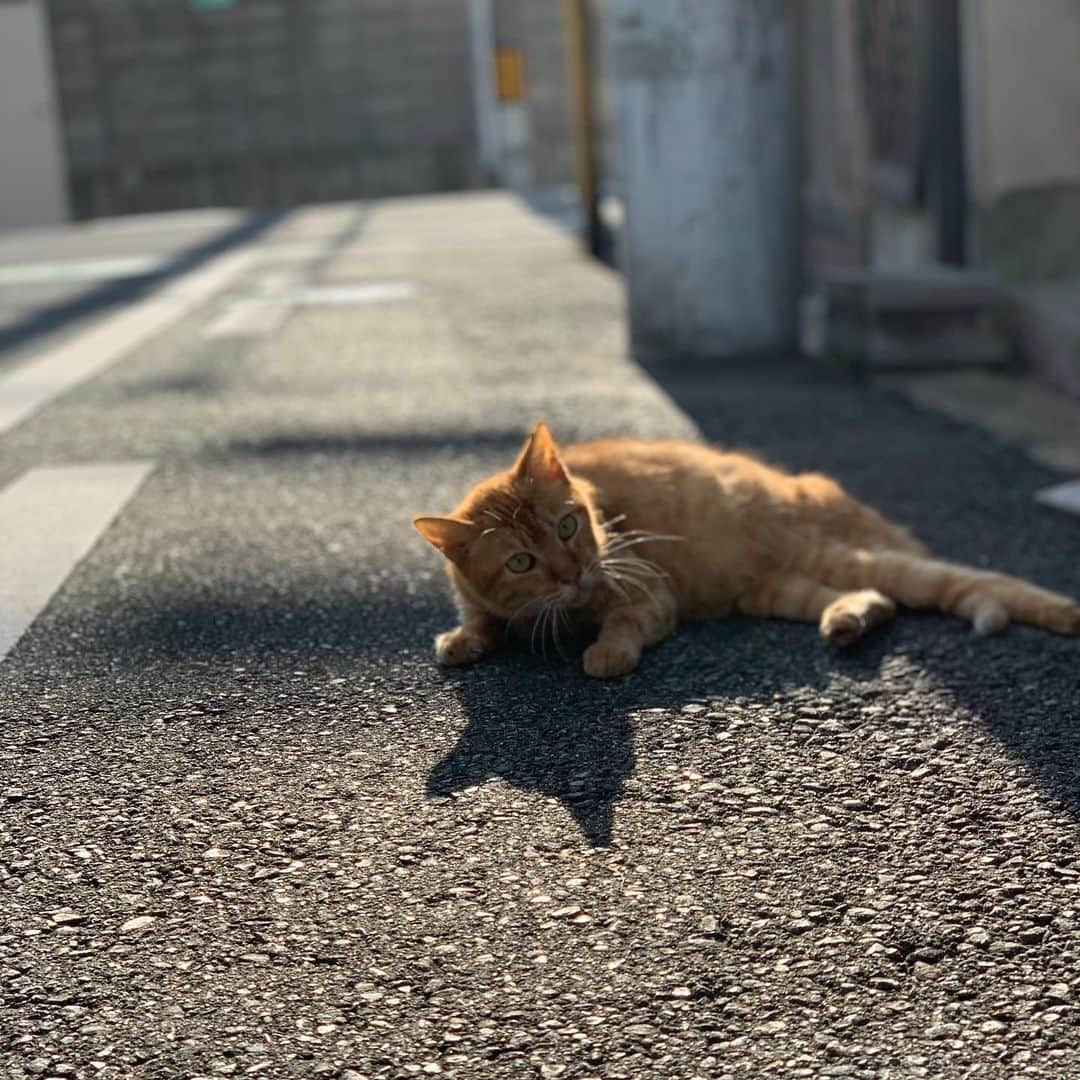 田中亜土夢のインスタグラム