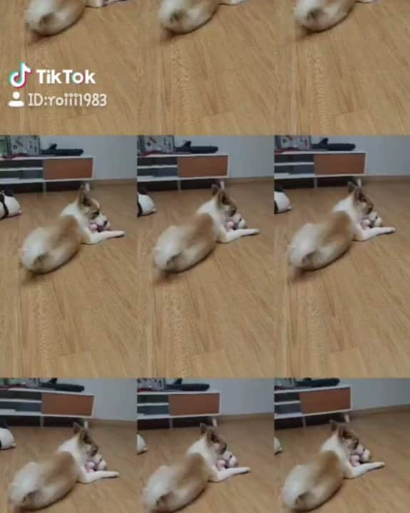 ソンフンのインスタグラム：「#딜레이스크린 #tlog #틱톡 #TikTok」