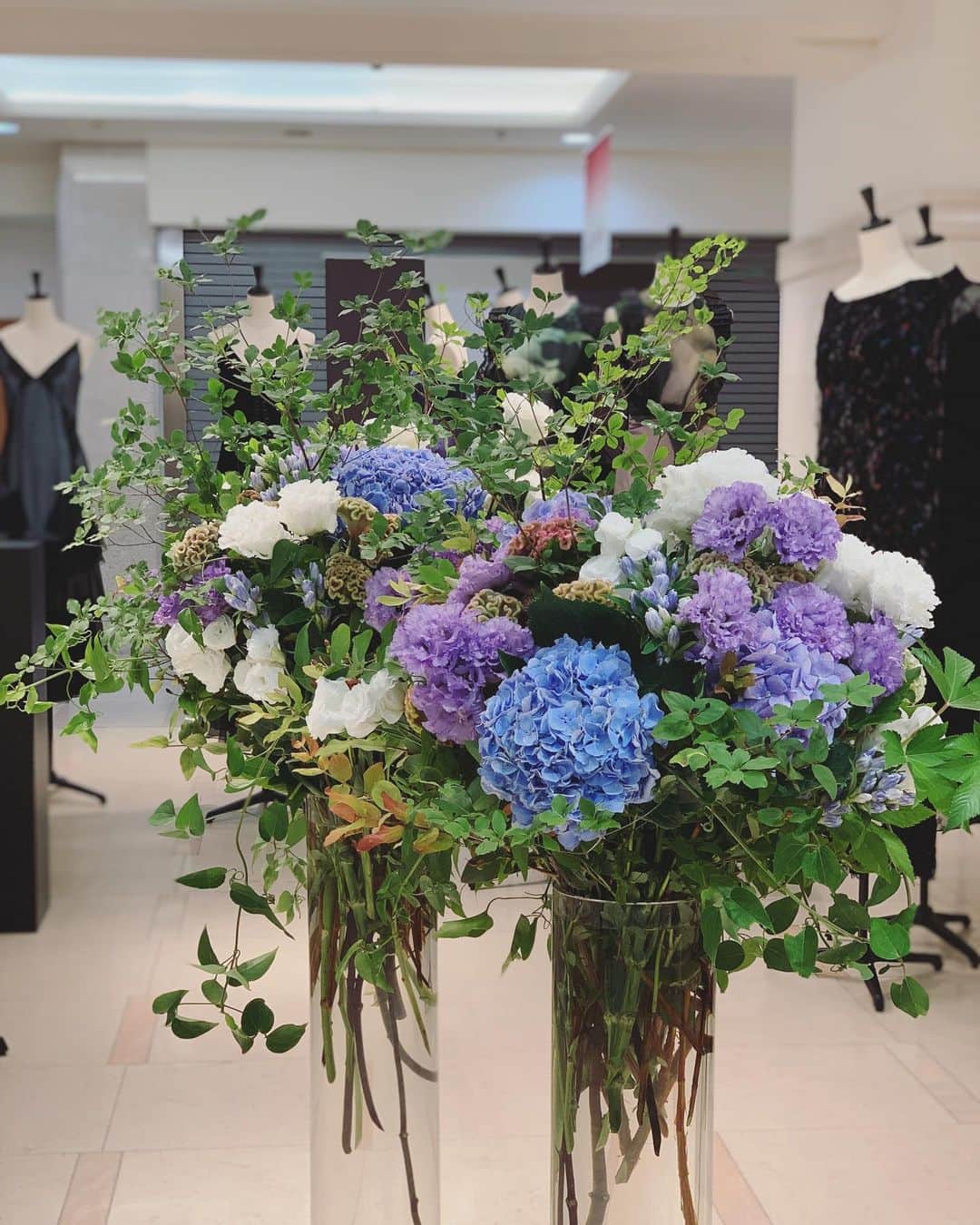 のインスタグラム：「某ブランド展示に涼しげな花達  #hanatombo #akivazama #flowers」