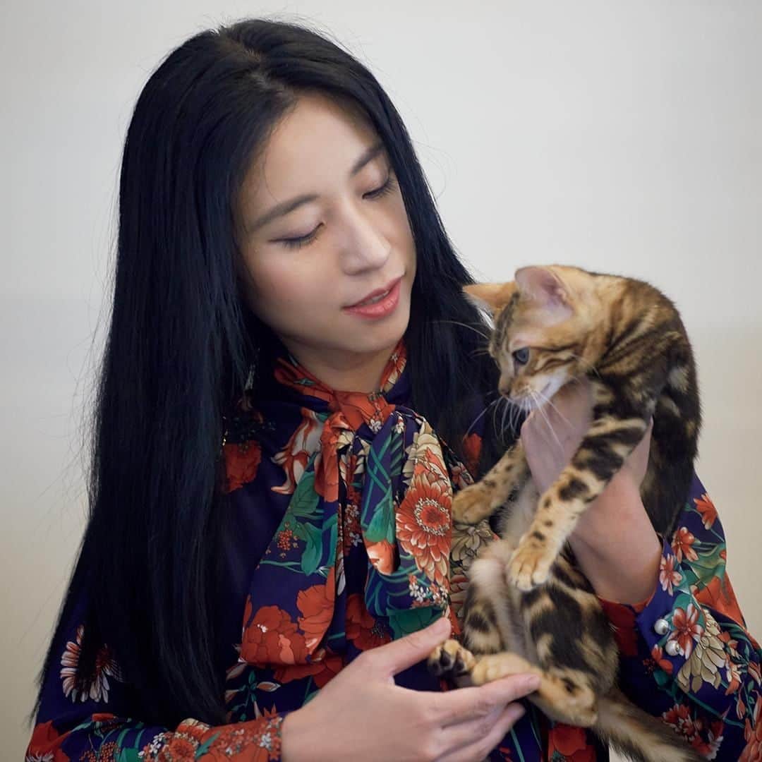 のインスタグラム：「【仕事術★発売中】国際政治学者・三浦瑠麗と愛猫のレオくん。この愛くるしい仔猫がオフィスを自由に闊歩！「ぴりっとした職場に生き物がウロウロしていることはとてもいい。書くことや議論は抽象的な作業なので、リアルな存在が、自分の精神状態をフラットなところへ引き戻してくれるんです。」 #ブルータス #brutus #仕事術#猫 #三浦瑠麗」