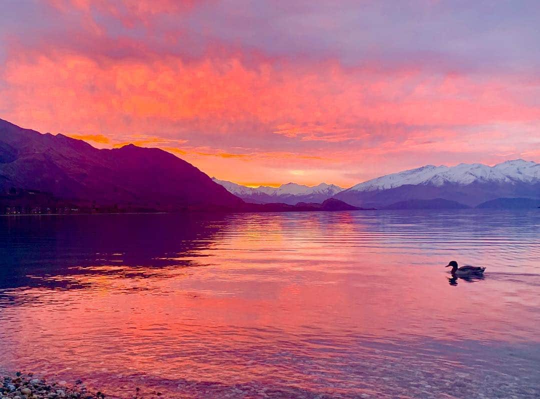 高尾千穂のインスタグラム：「1年ぶりのニュージーランド。さっそくタイミング良くワナカ湖の見事な景色に遭遇。」