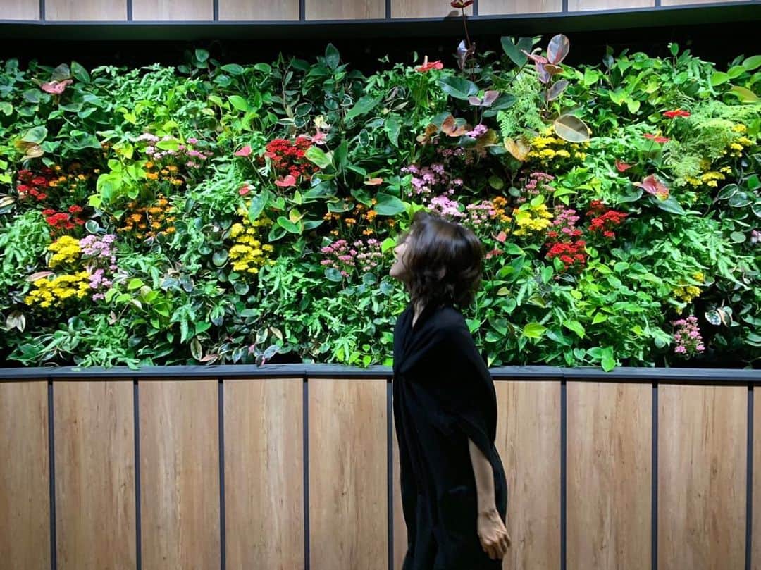 小橋めぐみのインスタグラム：「造花かな？と思ったら 本物だった🌺🌺🌺 ほんのりいい匂い。」