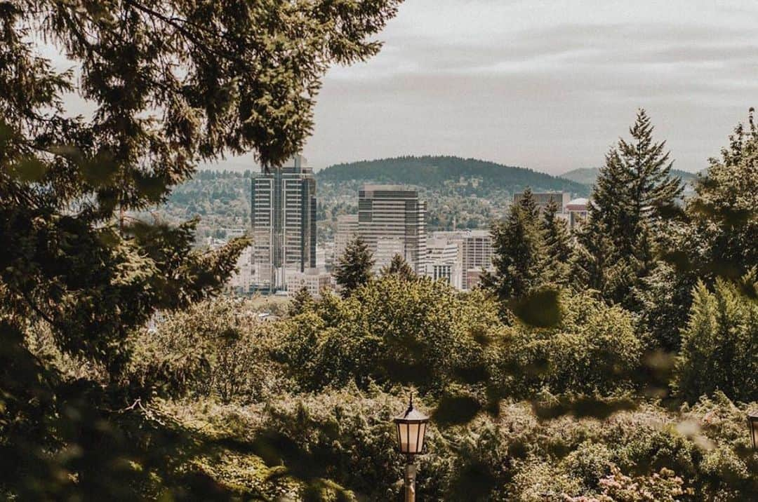 Portlandさんのインスタグラム写真 - (PortlandInstagram)「STUMPTOWN: One of Portland's nicknames comes from the 1850's when Portland was experiencing an increase in population. So many trees were cut down to aid the expansion of the city, that stumps were the only thing left standing. At one point, someone commented that there were "more stumps than trees". - 📷: @bwollard_ - #Portland #OregonNW #PDX #Summer」9月4日 21時28分 - portland