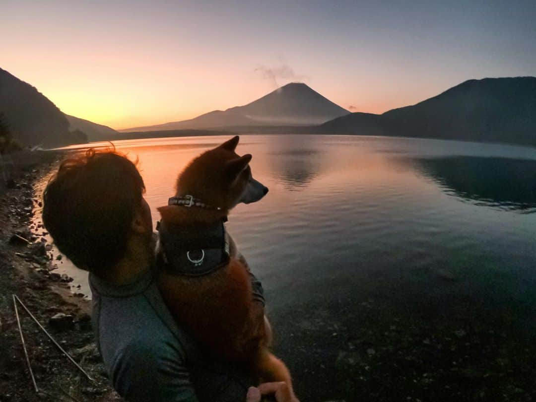 BlackRed shibasさんのインスタグラム写真 - (BlackRed shibasInstagram)「Beautiful Mount Fuji🗻 before dawn. . #浩庵キャンプ場 8月31日(土)は賑やかでした。 日曜夜は人も少なくなり… 月曜日の静かな朝… やっと全景を見せてくれました。 . 夜明け前… むさしと一緒に富士山を眺めて… . #GoProJP #neneandmusashi2019 #GoPro #ゴープロ #shiba #shibinu #柴犬 #しばいぬ #japan #gopropets #lovely #cute #goprodog #goproのある生活 #happy #goprodog #gopropets #otvadventures #besomedoggy #doggo #goprodogsquad #capturedifferent #柴犬ライフ #gopro7 #goprohero7black #本栖湖 #富士山」9月4日 21時29分 - black_red_jp