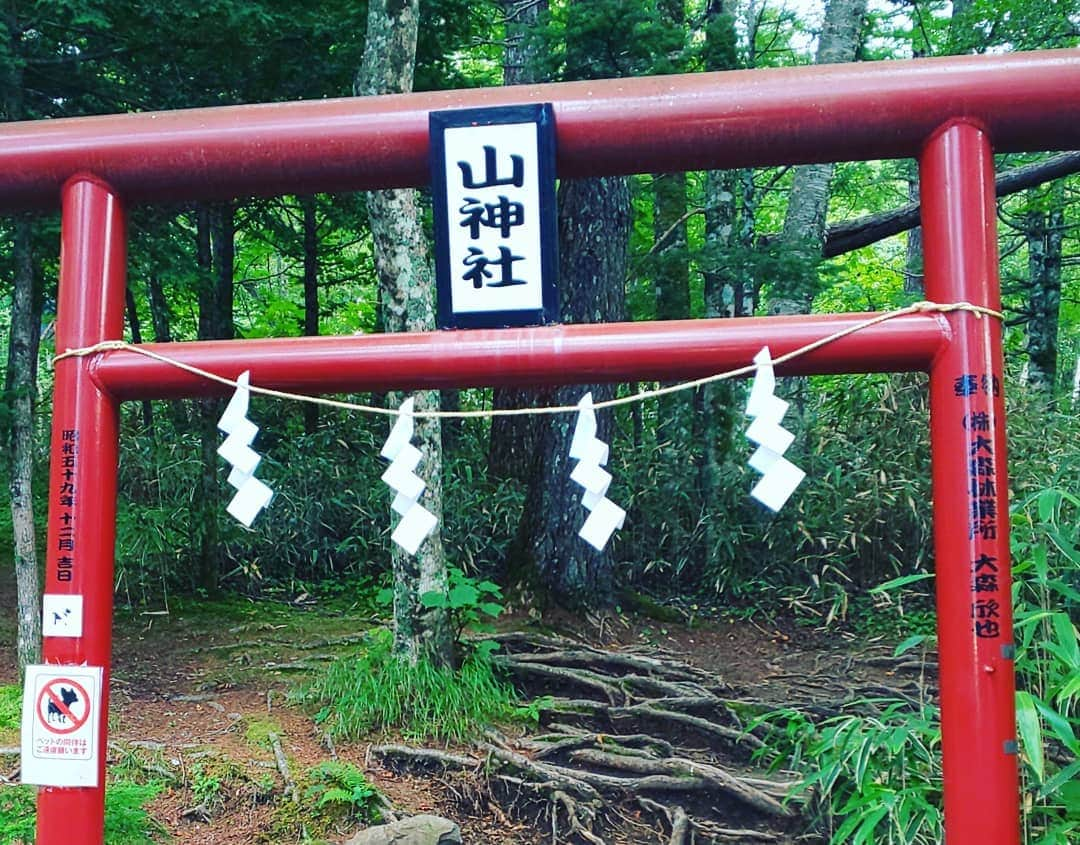 LOVE ME DOさんのインスタグラム写真 - (LOVE ME DOInstagram)「富士吉田市の新屋地区にある新屋山神社（あらややまじんじゃ）の本宮と奥宮に行って来ました！奥宮が“金運神社”です。 #富士吉田市 #新屋山神社 #本宮 #奥宮 #金運神社 #金運アップ」9月4日 21時36分 - lovemedo_fortunteller