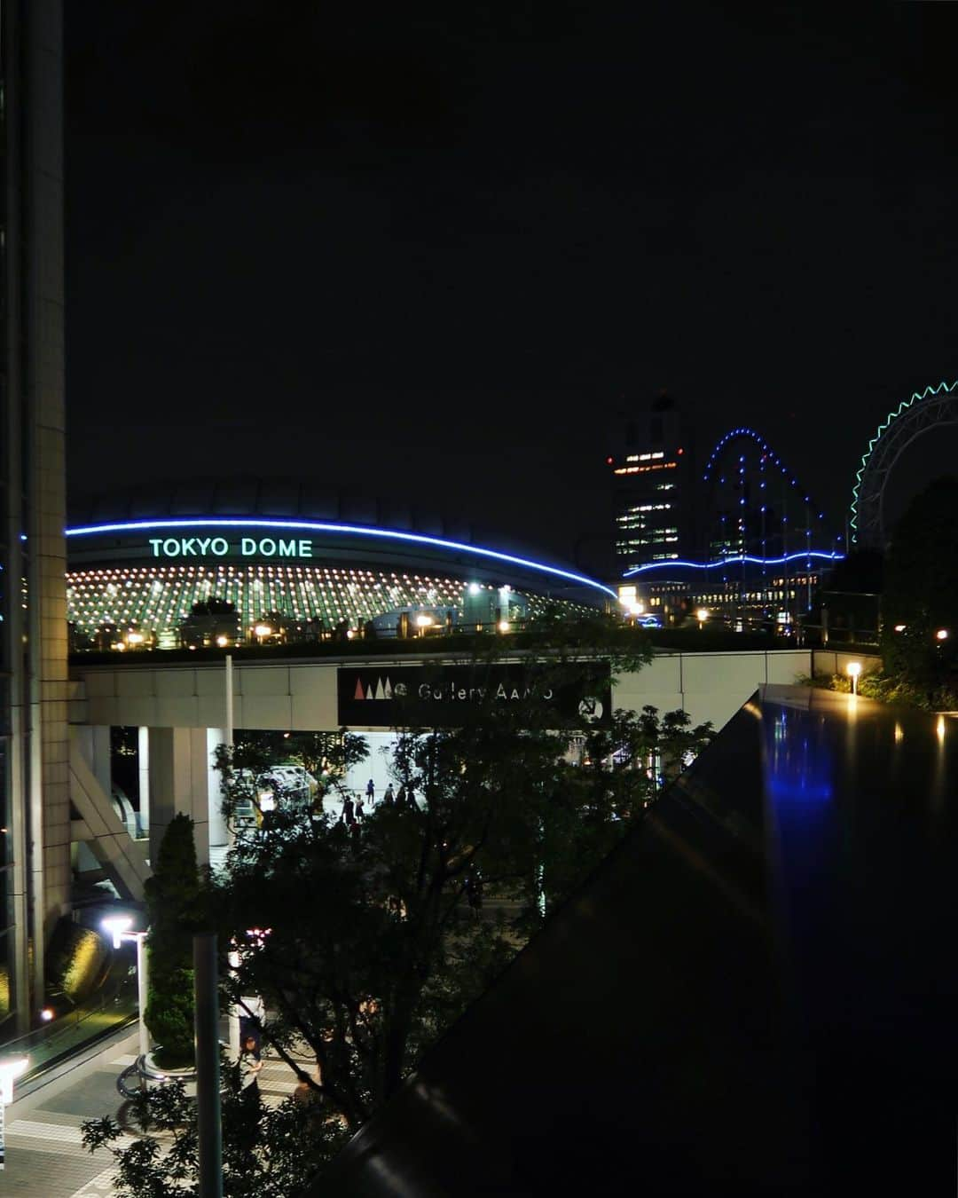 ステファニー・ヨーステンさんのインスタグラム写真 - (ステファニー・ヨーステンInstagram)「Tokyo lights 🗼✨ #東京 #ネオン #東京ドームシティ #tokyonights #neonlights #tokyodome #nightscene」9月4日 21時41分 - stefaniejoosten