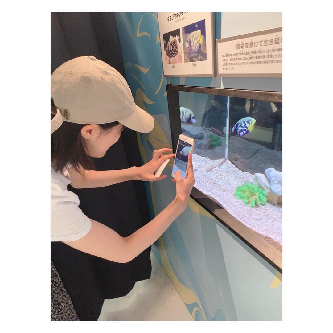 坂本 愛玲菜さんのインスタグラム写真 - (坂本 愛玲菜Instagram)「🐟📸 #題名  #ガラス越しに映る不審者 #福岡パルコ  #化ケモノ展  #どんなに小さくても #みんな一生懸命生きてるんだなあと思うと #めっちゃ癒されたし元気もらえた☺︎」9月4日 22時04分 - erena_hkt48