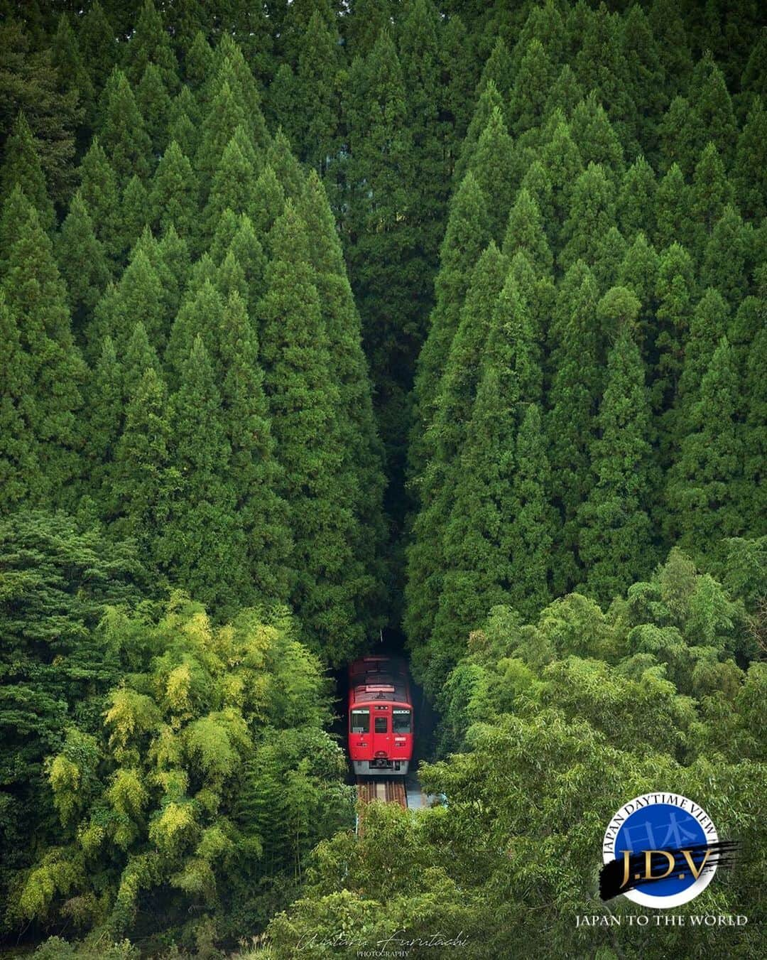 japan_daytime_viewさんのインスタグラム写真 - (japan_daytime_viewInstagram)「⁑ ✨👑 J D V Photo Of The Day 👑✨ ⁑ ✨🎊 C O N G R A T U L A T I O N S 🎊✨ 素敵な作品をシェアして頂き有難う御座います🙏🏻 ⁑ Photographer :  @wataru_furutachi  Location :  大分県 Photo Selected : @happydays796 フィーチャー条件 ① 撮影地（都道府県名）が判別出来る情報の記載 。 ② @Japan_Daytime_View をフォロー。 ③ ハッシュタグに #Japan_Daytime_View を付加。 ⁑ Admin : @masa.105 Mod : @happydays796 Mod : @estrella1868 Mod : @396_zima Mod : @kimako_ Mod : @mikanino_2016 ⁑ 🎌Japan Viewグループ🎌  @japan_daytime_view (日の出〜日没迄の写真) @japan_night_view (日没から日の出迄の写真) ----------------------------------------- #Japan#日本#風景#鉄道#自然」9月4日 22時28分 - japan_daytime_view