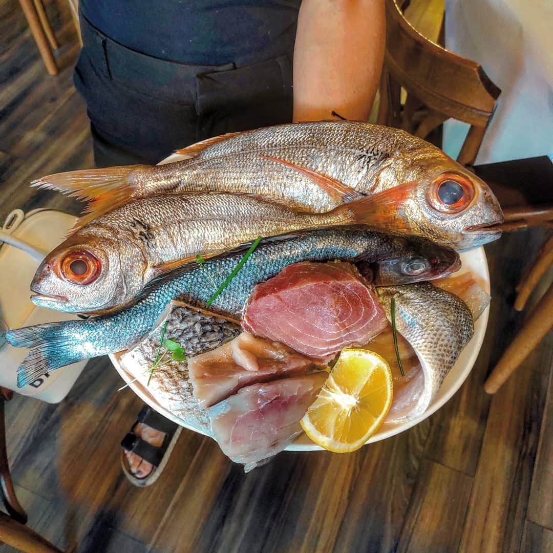 有坂翔太のインスタグラム：「マルタのお魚。 可愛い目だ。」