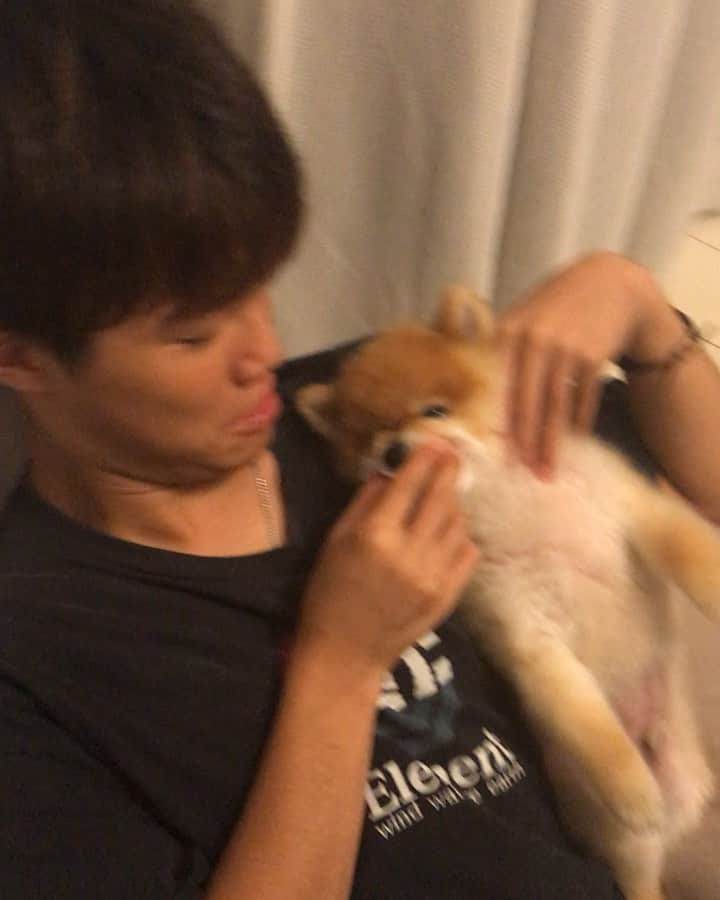 RIO POMEのインスタグラム：「歯磨きして〜  キレイキレイして〜✨ おやすみなさい😴🌙 #ポメラニアン #pomeranian  #犬 #dog #dogstagram#doglover #愛犬 #わんこ #ポメラニアン大好き #ポメラニアンが世界一可愛い #pom #ぽめらにあん #ポメ#pomeraniansofinstagram  #pomeranianlove #ふわもこ部 #いぬバカ部 #癒しわんこ#instapic#pomstagram #puppy #dogsofinstagram #cute#cutedog」