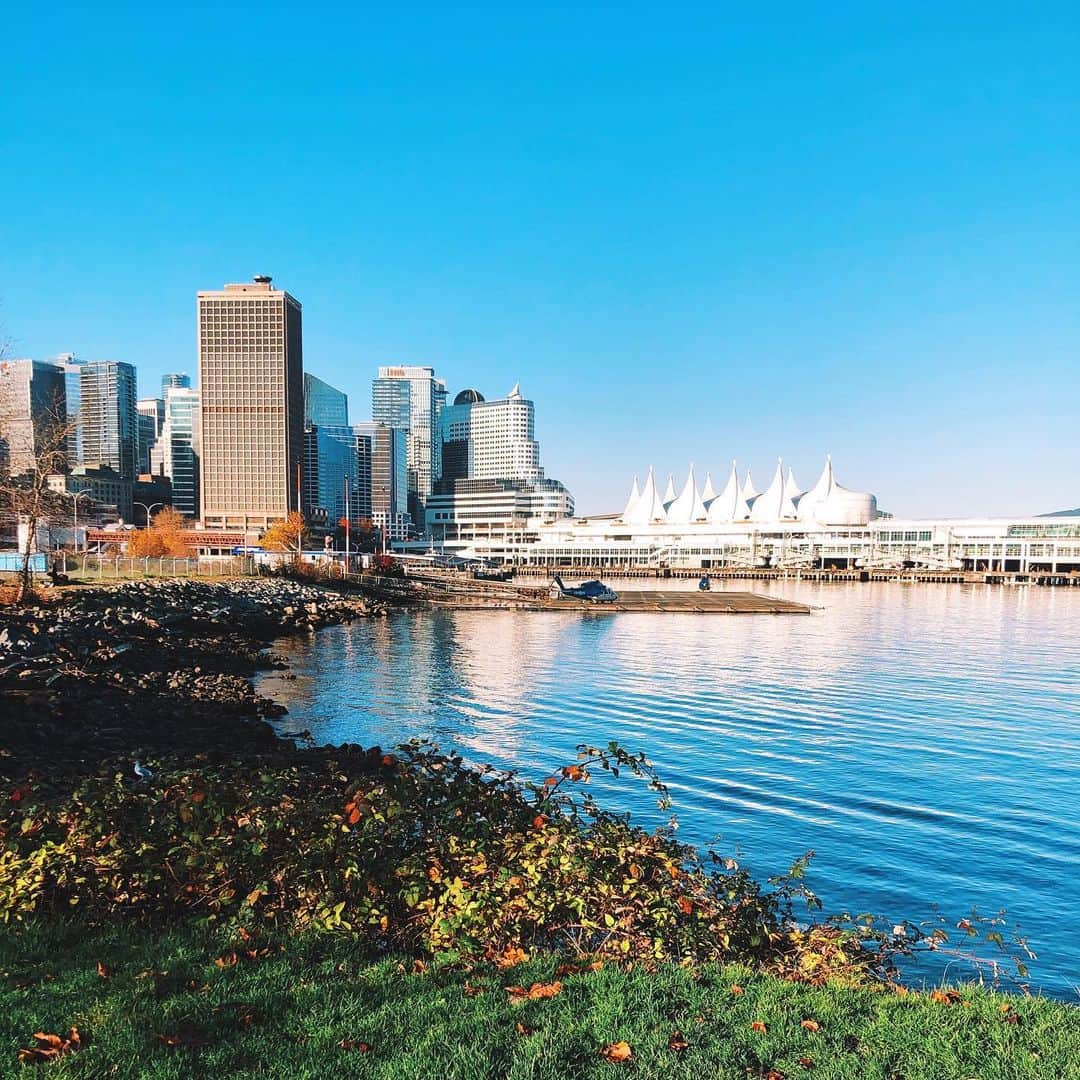 ダニエル・パナベイカーさんのインスタグラム写真 - (ダニエル・パナベイカーInstagram)「Soaking up that Vancouver ☀️ (before it turns to ☔️)」9月5日 0時08分 - dpanabaker