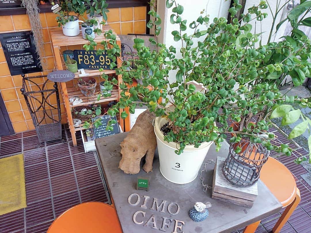 おいもカフェ金糸雀のグルメインスタ