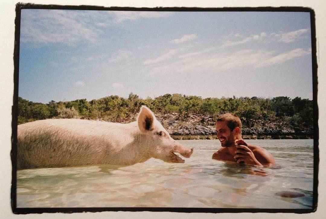 ポール・ウォーカーのインスタグラム：「“Wherever there are wild animals in the world, there is always an opportunity for caring, compassion and kindness.” - Paul Oxton #NationalWildlifeDay⁣ ⁣ 📷: @MeadowWalker ⁣ #TeamPW」