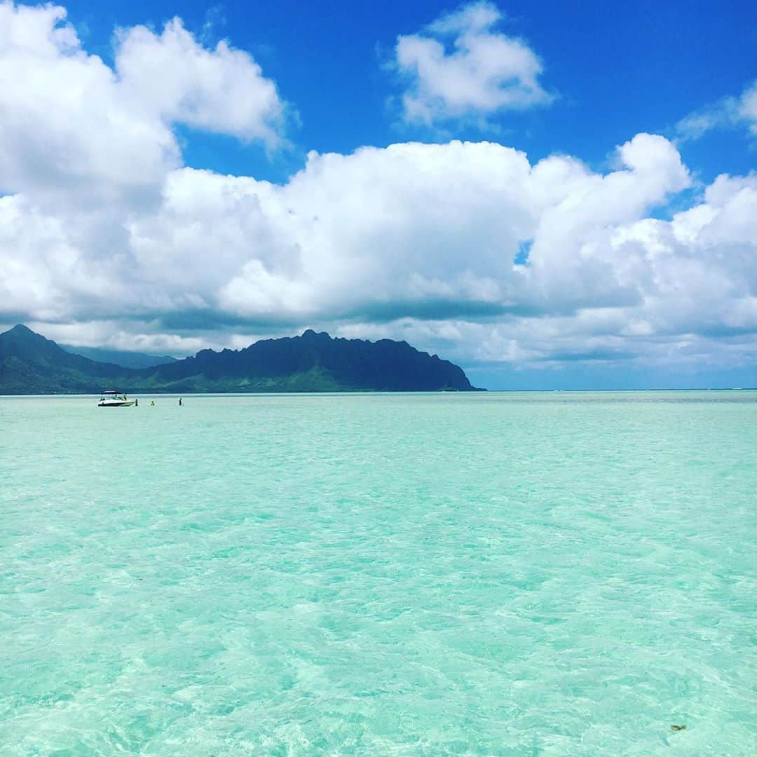 工藤まやさんのインスタグラム写真 - (工藤まやInstagram)「今日も美しかったサンドバー。夏はほんとに気持ちよくてまるで大きなお風呂💙💙💙 #ハワイ#sandbar#天国の海」8月21日 18時43分 - mayahawaii325