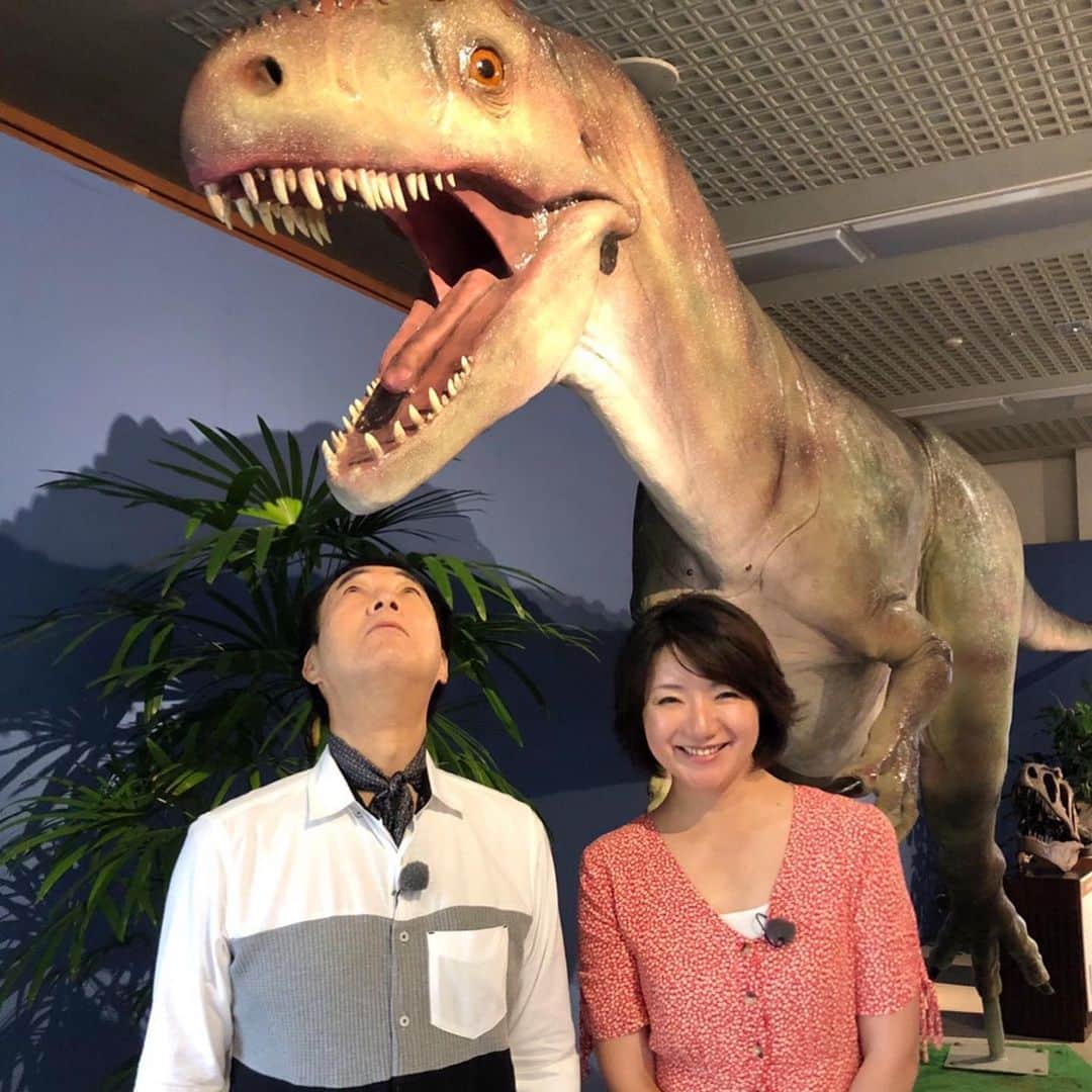 テレビ西日本「Cubetnc」さんのインスタグラム写真 - (テレビ西日本「Cubetnc」Instagram)「今回のキューぶらりは、 熊本県天草諸島にある“恐竜の島”が舞台。 今から22年前、天草諸島の島のひとつ・ 御所浦島（ごしょうらじま）で、 初めて恐竜の足の化石が発見されました。 その後も貴重な化石が次々と見つかり、 “恐竜の島”御所浦島は、 全国的に有名になったんです。 まるで島全体が、恐竜の化石の博物館！ 今回は、 １億年前の恐竜時代に思いをはせながらぶらりします。 放送は今週土曜日、24日あさ10時25分からです。 お楽しみに！ * 《８月26日追記》 24日の放送とお伝えしておりましたが、 延期となりました。 放送日が決まりましたら、改めてお知らせいたします。 * #角田華子 #宮本隆治 #元ＮＨＫアナウンサー #キューぶらり　#恐竜の島　#化石 #熊本県　#天草諸島　#御所浦島 #福岡NEWSファイルCUBE #田久保尚英 #テレビ西日本　#TNC」8月21日 17時21分 - cubetnc