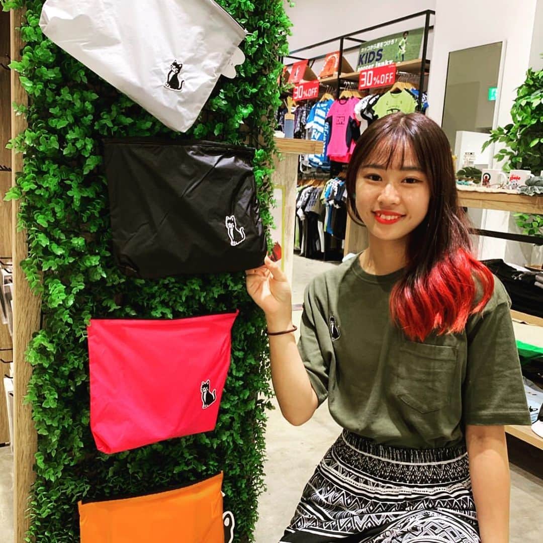 のインスタグラム：「Selena g ashley. #cat #selena #selenagashley #bag  #猫 #にゃー #肉球 #猫まっしぐら」