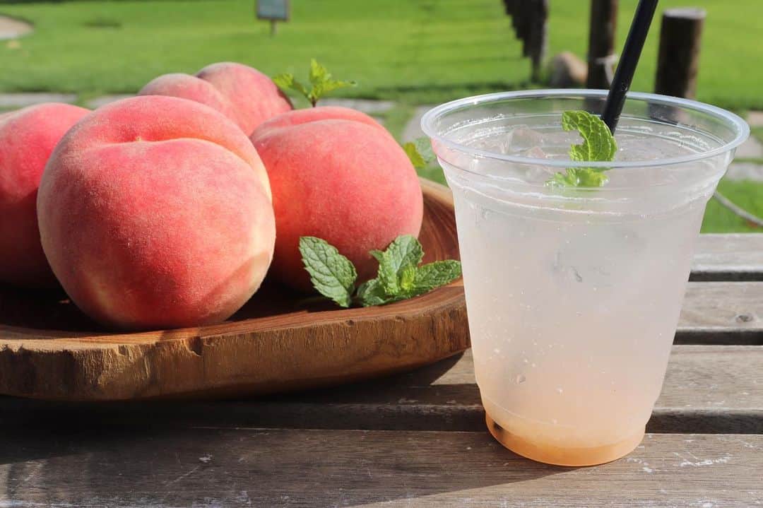 丘の上のパン屋 のグルメインスタ