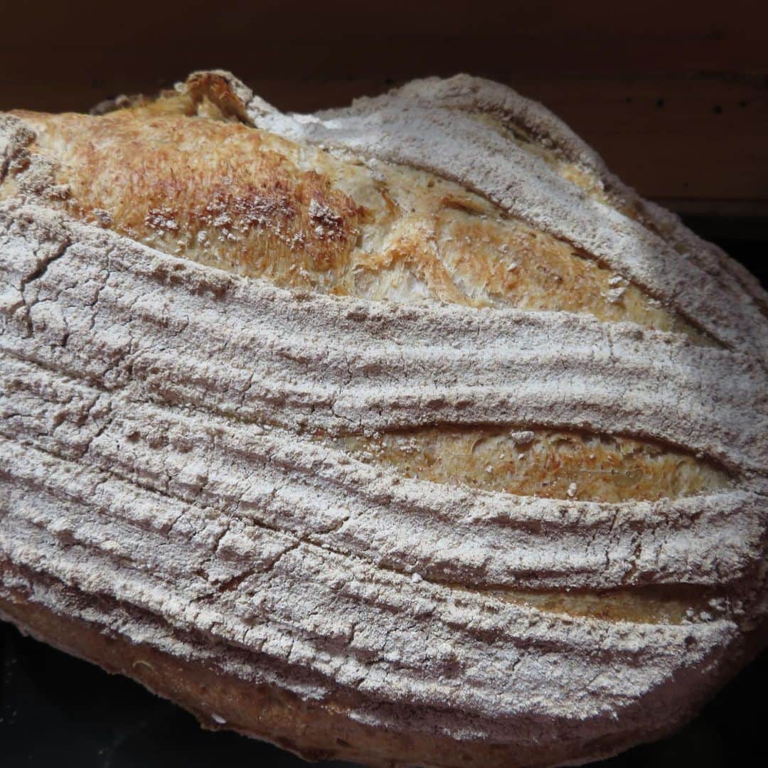 魔女菅原のグルメインスタ