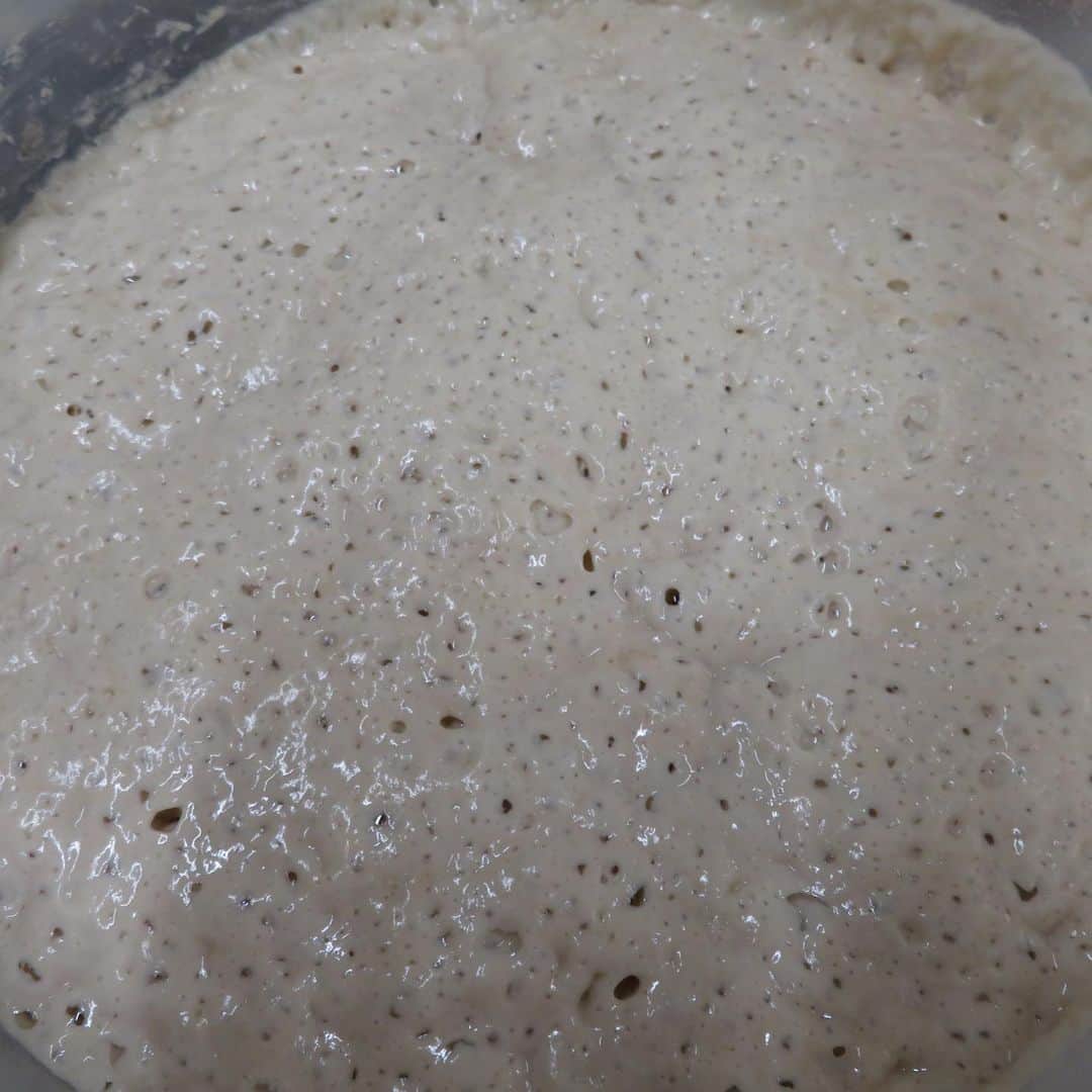 魔女菅原のグルメインスタ