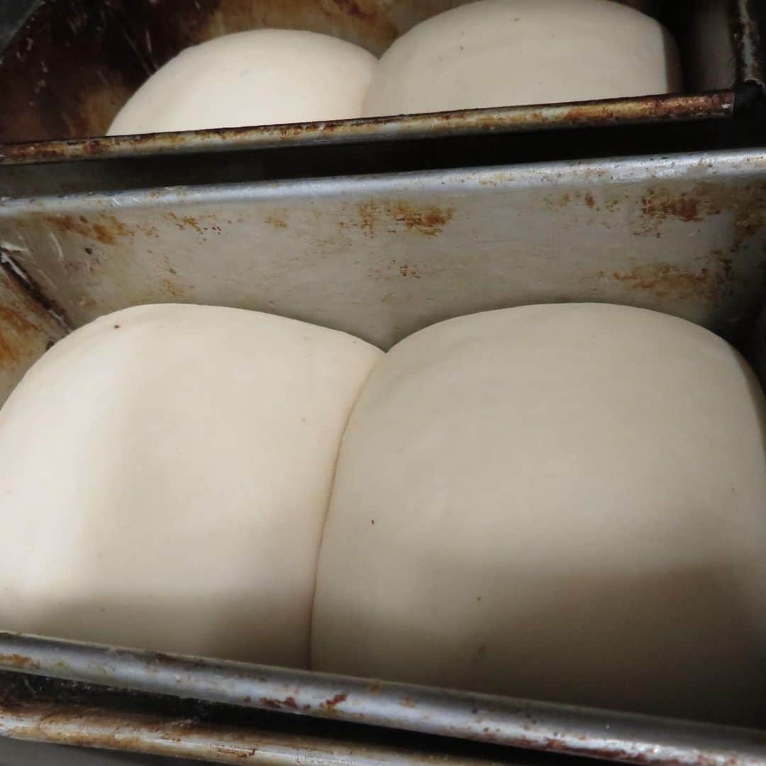 魔女菅原のグルメインスタ