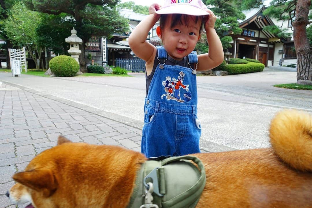 尾形貴弘のインスタグラム