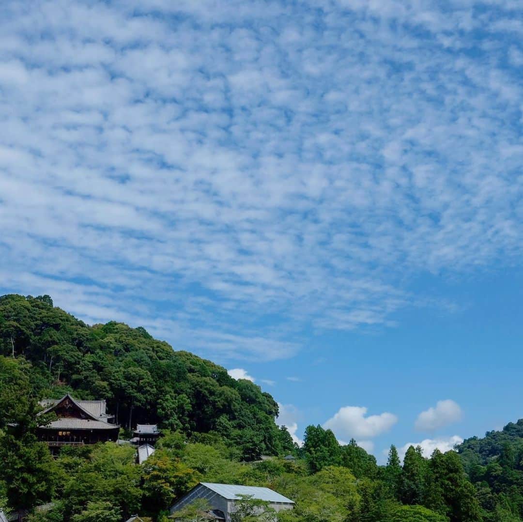 奈良 長谷寺 / nara hasederaのグルメインスタ