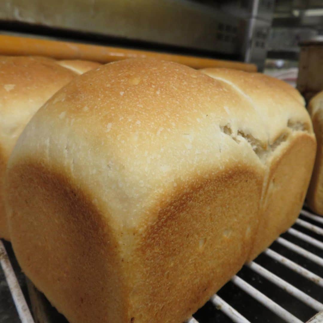 魔女菅原のグルメインスタ