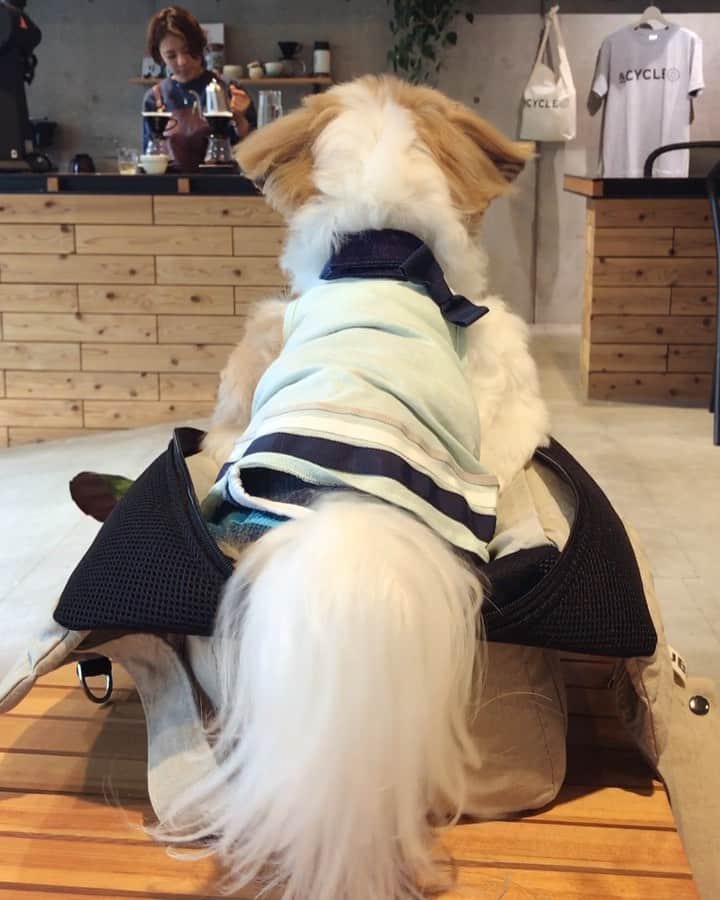 水嶋はちのグルメインスタ