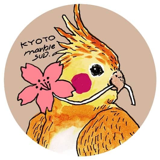 marbleSUD(マーブルシュッド) のインスタグラム：「【京都伊勢丹店Twitterスタート】  8月28日にOPENするマーブルシュッド京都伊勢丹店のTwitterアカウントができました！桜をくわえた可愛いインコのアイコンが目印です。 これから楽しい情報をぞくぞくアップいたします！皆様ぜひフォローしてくださいね！ ・ 京都伊勢丹店Twitter https://twitter.com/marbleSUD_kyoto ・ #marblesud #マーブルシュッド #京都 #ジェイアール京都伊勢丹 #伊勢丹 #新店舗 #newopen #ファッション #イベント」