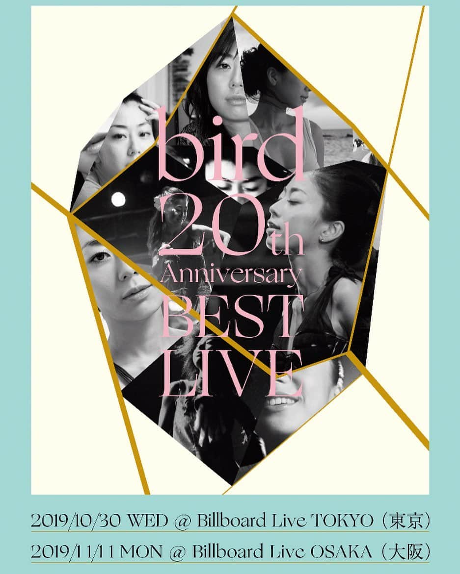 birdさんのインスタグラム写真 - (birdInstagram)「bird ” 20th Anniversary Best ” Live ! 「bird 20th Anniversary Best」発売を記念したベストライブ。 本日8/21〜 先行チケット受付開始、8/28〜 一般チケット受付開始です。 どうぞよろしくお願いします！  10/30（水） @ Billboard Live TOKYO （東京） 11/11（月） @ Billboard Live OSAKA （大阪）  bird（Vocal & Performance） ゲンタ（Drums） 澤田浩史（Bass） 樋口直彦（Guitar） 渡辺貴浩 （Keyboards） Meg（Backing Vocal） Hanah Spring（Backing Vocal）  #ビルボードライブ東京 #ビルボードライブ大阪 #ゲンタ #澤田浩史 #樋口直彦 #渡辺貴浩 #Meg #HanahSpring #bird」8月21日 12時17分 - birdwatchnet