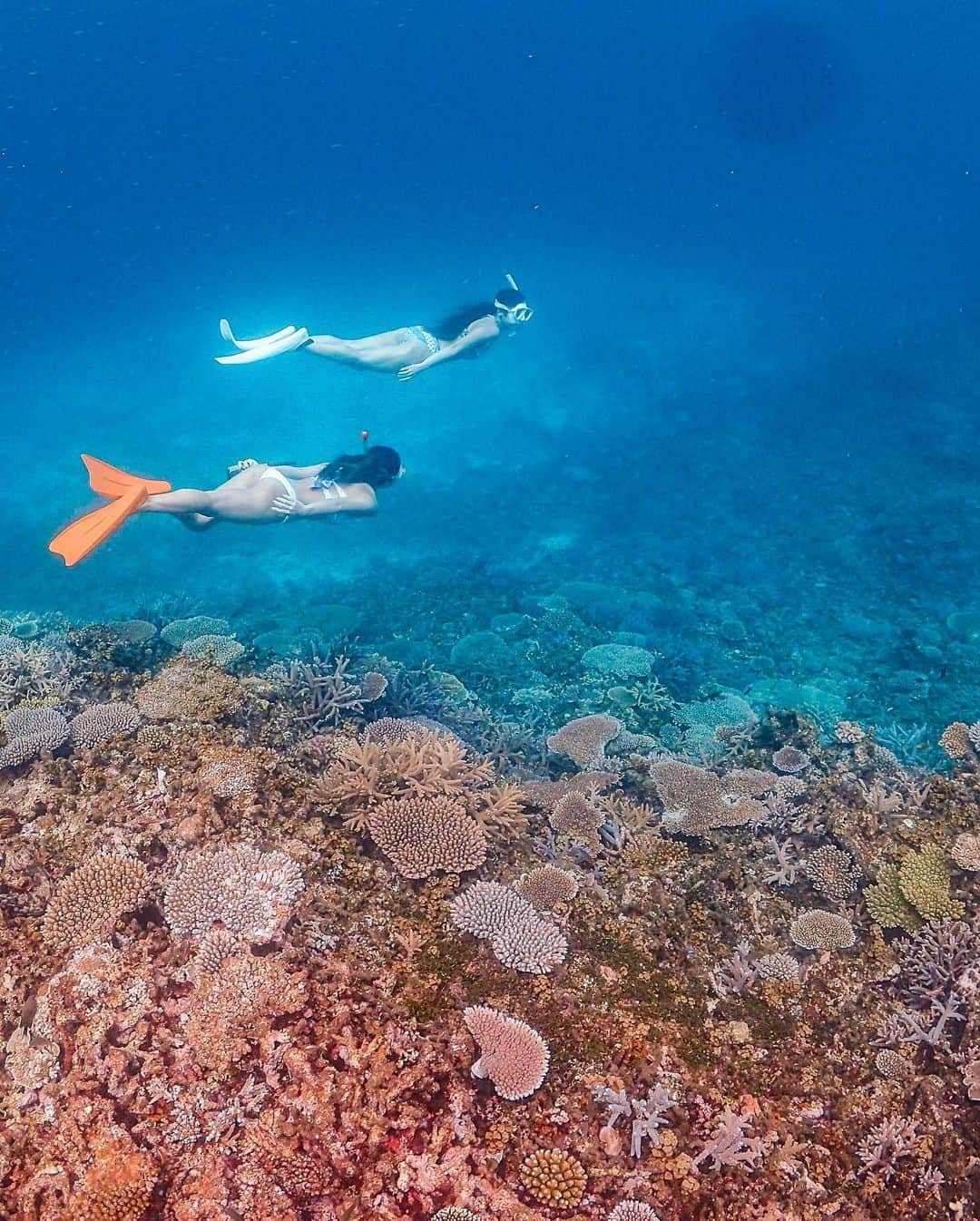 タビジョのインスタグラム：「こんにちは😊 本日は「タビジョレポートin宮古島」の「タビジョマガジン」を公開✨ ＊＊＊＊＊＊ @nakamuraam さん ✈️ 2019/4/18～4/20 「やっぱり宮古ブルーが見たい！看護師タビジョおすすめの宮古島の海5選」 今大人気リゾートの宮古島。今回はリゾート大好き@nakamuraamさんが、おすすめのビーチをご紹介🏖 ＊＊＊＊＊＊ 新しい空港がopenしてから、更なる人気スポットとなった宮古島☺️ 綺麗なビーチも多くてどこに行くか悩んじゃう人必見😳 おすすめビーチ是非参考にしてくださいね✨ また、レポーターが宿泊したおすすめホテルもご紹介👯‍♀️ リーズナブルなのにスタイリッシュ😍是非チェックしてね💕 ＊＊＊＊＊＊ 詳細はアカウント🔝のURLから チェックしてください😊 @tabi_jyo ＊＊＊＊＊＊ ・Alohaタビジョin関西 第一回MeetUpイベント&東京 第四回Meet Up ～リピーターからまだ行ったことがない方までハワイ好きのみんなでもっとハワイを知って好きになろう！～ ※詳細は、アカウント🔝のURLから チェックしてください😊 @tabi_jyo ＊＊＊＊＊＊ #タビジョ #タビジョレポーター #タビジョと繋がりたい」