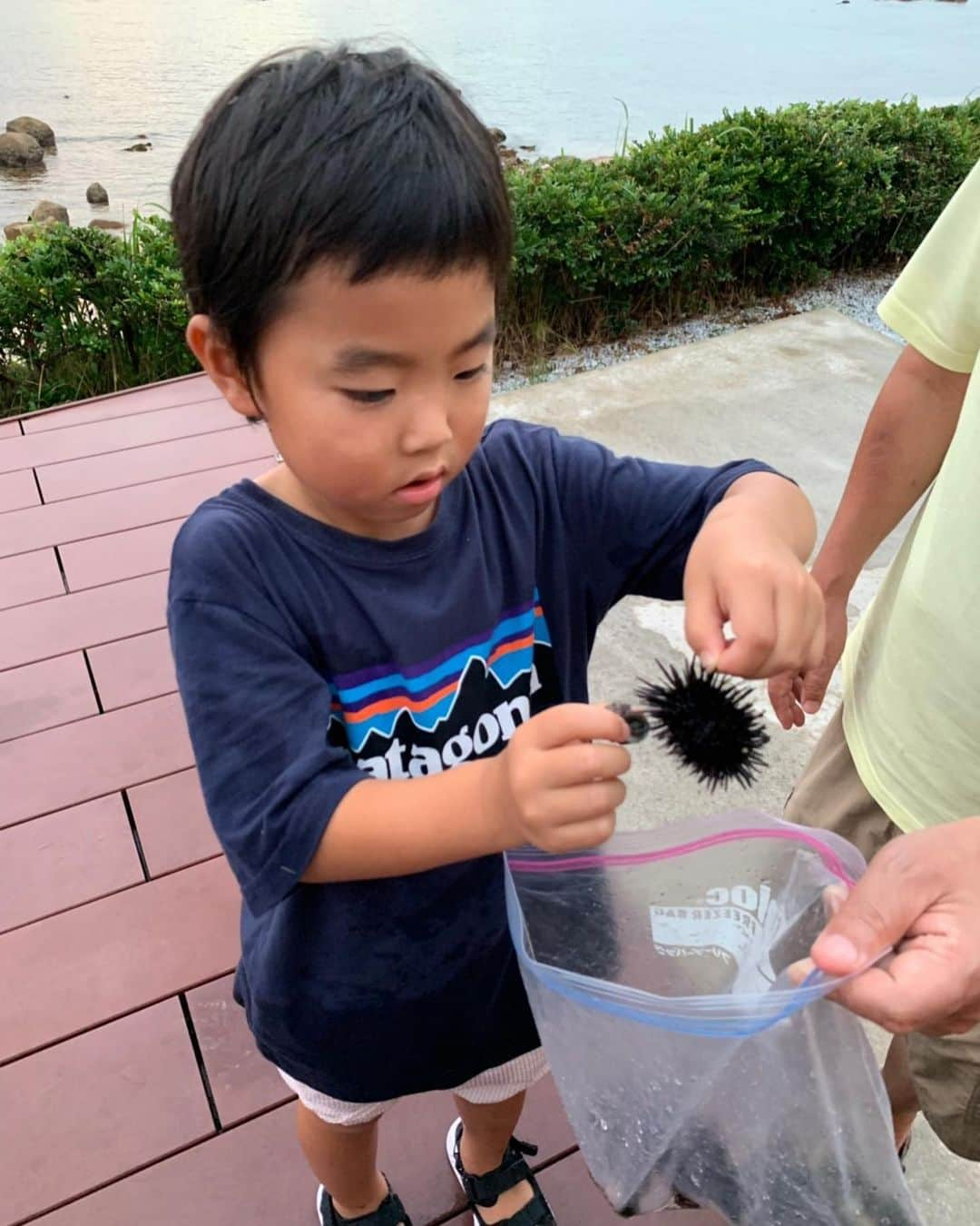 赤星拓さんのインスタグラム写真 - (赤星拓Instagram)「今年の夏はお客様の夏の思い出作りのお手伝いで大忙しの日々です^_^ 連日盛況頂いて本当に有難いです🏖  家族は実家に帰省して貰って、しばらく泊まり込んで仕事していましたが、ひと山越えたので少しお休みを頂き帰福。  久しぶりに子供達と遊びました‼️ 夏休みも終盤🍉 明日からもよろしくお願い申し上げます👍  #夏の思い出 #海 #家族の夏休み #家族揃ってBBQ #別荘 #糸島のとき #雑穀米おにぎり #ベストアメニティ #マリーナフランピングビレッジ天草  #スパフランピングビレッジ大牟田  #キャンピングトレーラー #連日満室 #感謝 #乗り切れ夏休み」8月21日 13時23分 - akahoshi.taku_1