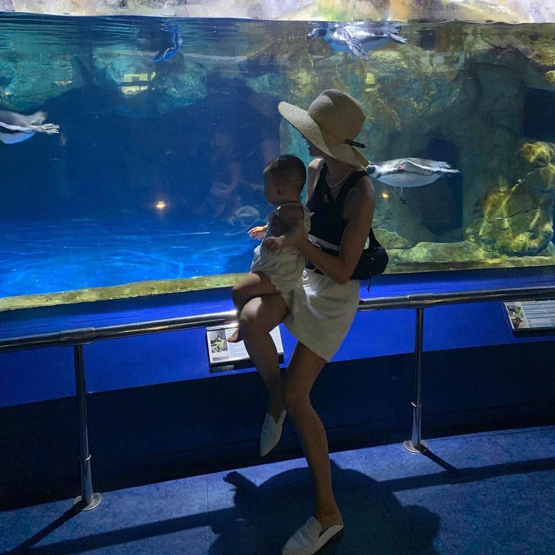 のインスタグラム：「.﻿ 昨日はプールでのんびりしてから水族館へ。﻿ 日本で初めて行った時より分かるようになったのか魚を見つめる様子が可愛すぎました♡﻿ 色んな国の水族館へ一緒に行きたい。﻿ ﻿ #barcelona #katalunya🇪🇸 #spain #holiday #summer ﻿ #monjuic #familytrip #るり初めての夏」