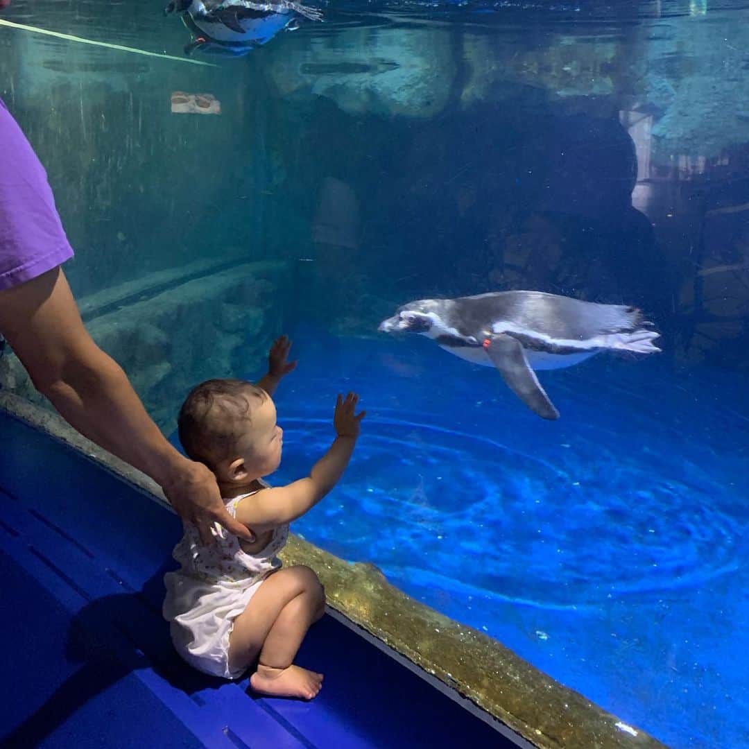 大塚良子さんのインスタグラム写真 - (大塚良子Instagram)「.﻿ 昨日はプールでのんびりしてから水族館へ。﻿ 日本で初めて行った時より分かるようになったのか魚を見つめる様子が可愛すぎました♡﻿ 色んな国の水族館へ一緒に行きたい。﻿ ﻿ #barcelona #katalunya🇪🇸 #spain #holiday #summer ﻿ #monjuic #familytrip #るり初めての夏」8月21日 18時55分 - ryokokonami