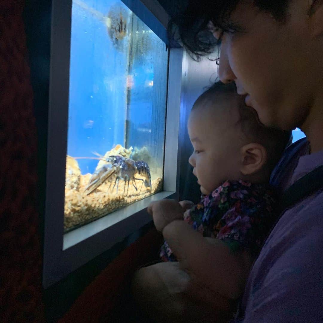 大塚良子さんのインスタグラム写真 - (大塚良子Instagram)「.﻿ 昨日はプールでのんびりしてから水族館へ。﻿ 日本で初めて行った時より分かるようになったのか魚を見つめる様子が可愛すぎました♡﻿ 色んな国の水族館へ一緒に行きたい。﻿ ﻿ #barcelona #katalunya🇪🇸 #spain #holiday #summer ﻿ #monjuic #familytrip #るり初めての夏」8月21日 18時55分 - ryokokonami