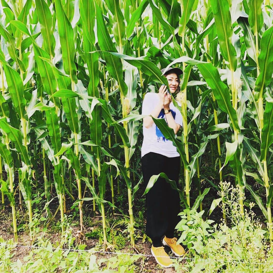 宮本美季のインスタグラム：「😌😌❤️❤️❤️ 大人の大人気ない夏。  #軽井沢  #アスレチック #本気で遊ぶ大人たち #9月から頑張れる」