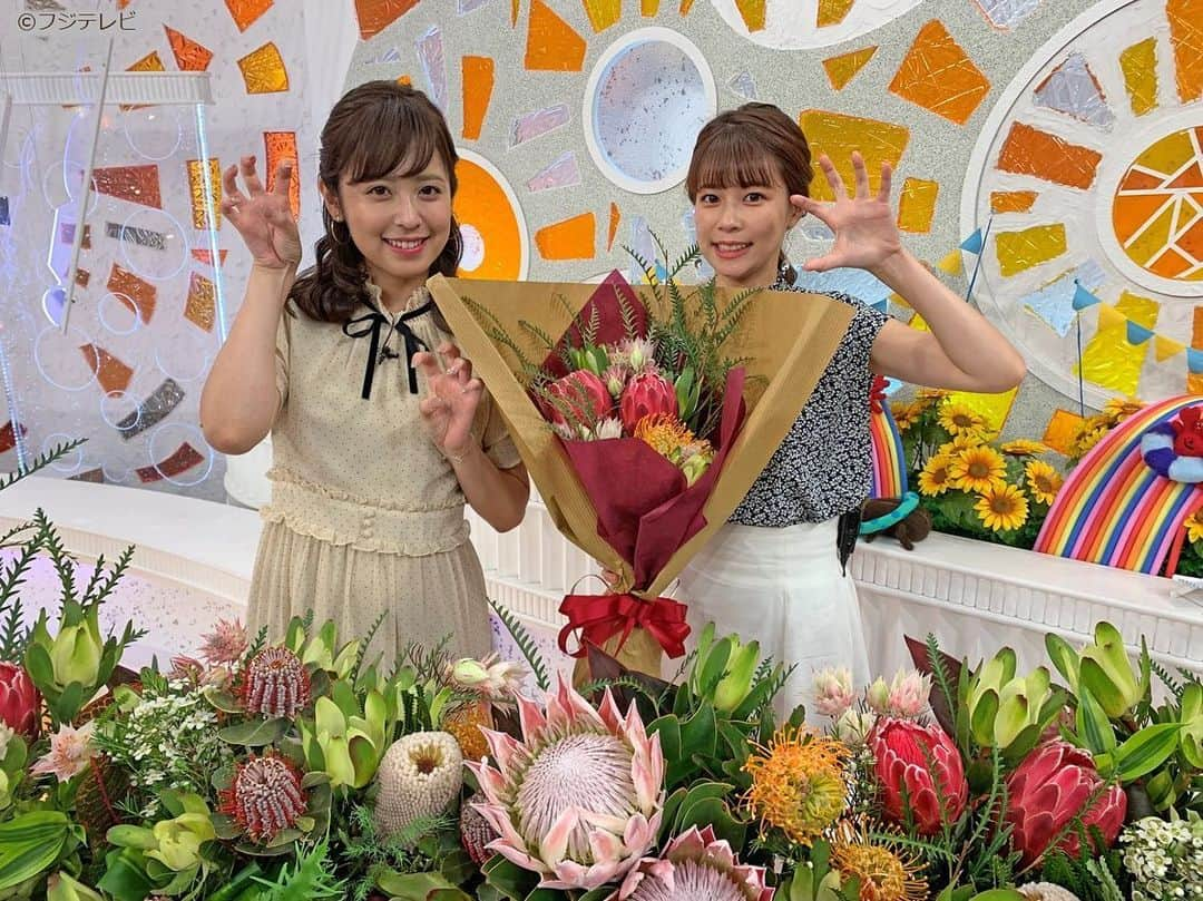 フジテレビ「めざましテレビ」さんのインスタグラム写真 - (フジテレビ「めざましテレビ」Instagram)「・ きのう紹介したのは「ネイティブフラワー」♪ このお花たちは南アフリカ共和国から届いたんだって！ 日本へようこそ(๑˃̵ᴗ˂̵) #めざましテレビ#鈴木唯#久慈暁子」8月21日 13時38分 - mezamashi.tv