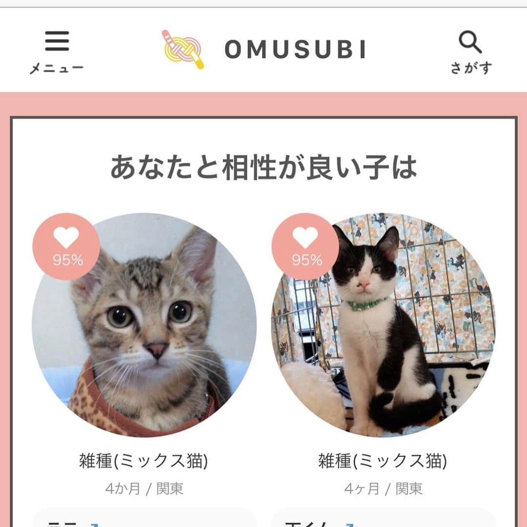 徳井義実さんのインスタグラム写真 - (徳井義実Instagram)「保護犬猫たちと里親さんを結びつけるサイト「OMUSUBI」に新機能の相性診断がスタートしました。 迎え入れるならお互いのためにも相性は良いに越したことはないですもんね。 僕やってみたらこんな感じの結果でした。 @omusubi_pet」8月21日 14時32分 - tokui_yoshimi
