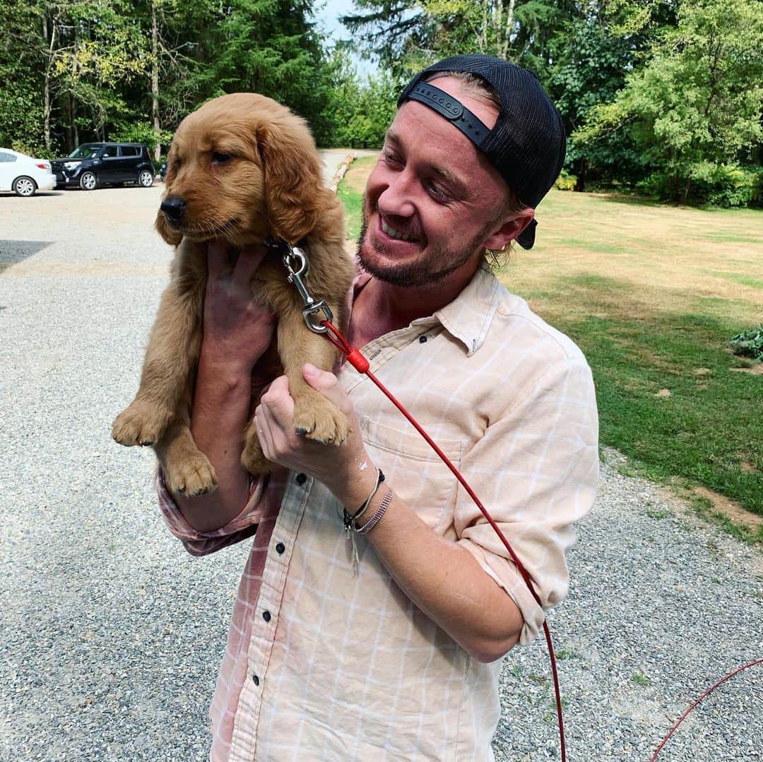 トム・フェルトンさんのインスタグラム写真 - (トム・フェルトンInstagram)「⚡️I loves dogs. #dereksays @rickygervais」8月21日 15時56分 - t22felton