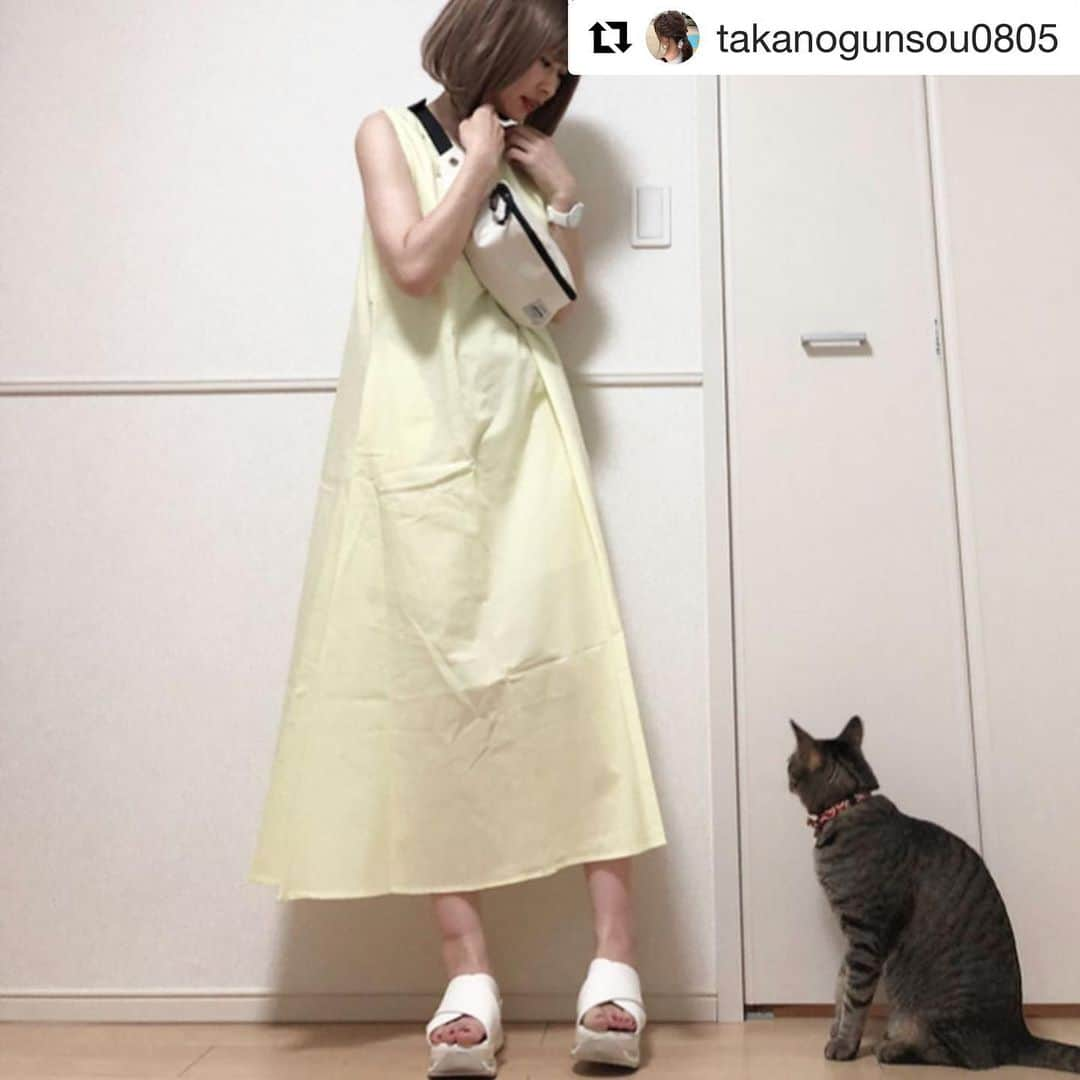 VIVIAN Collectionさんのインスタグラム写真 - (VIVIAN CollectionInstagram)「// 素敵なコーデありがとうございます*☻ #Repost @takanogunsou0805 with @get_repost ・・・ . . . 怖いじゃろ⁉️ . 軍曹さん🐈。。。 クローゼットをガン見👀 何かおるんかね⁉️😱 . . . 綺麗な色したワンピじゃろ⁉️ パステルイエローになるんかね⁉️ 可愛いよね🙈💕 . サイズ感もすんごい気に入った❤️ ↓↓↓ ▶️ @zociya_shop ◀️💕 . それに何か。。。 サイズ感なのか、 フレアワンピなのに、 細く見えるんよ🤩 . なんとも嬉しいぃーーっ🤩 . . . . 🖤🖤🖤🖤🖤🖤🖤🖤🖤🖤 . 腕時計 ▶️ @petitcro96 ◀️ ユニセックス シンプルウォッチ💕 . サンダル ▶️ @vivian_collection_official ◀️ 厚底ヒールコンビクロスミュールスポーツサンダル💕 . ウィッグ ▶️ @lineastoria ◀️ HEARTBEAT ボブ ナチュラルバング シナモンベージュプリン💕 . 🖤🖤🖤🖤🖤🖤🖤🖤🖤🖤 . . . .  #フレアワンピース #マキシワンピース #ロングワンピース #ノースリーブワンピース  #zociya #zociya_shop #petitcro #スポーツサンダル #スポーツミックス #クロスサンダル #厚底サンダル #viviancollection #vivian公式アンバサダー #リネアストリア  #リネアウィッグ  #イーザッカマニア #イーザッカマニアフレンズ3期応募  #ファルファーレアンバサダー募集 #wear 更新しました🙄  #きじとら #きじとら猫 #きじとらねこ #キジトラ #キジトラ猫」8月21日 16時13分 - vivian_collection_official