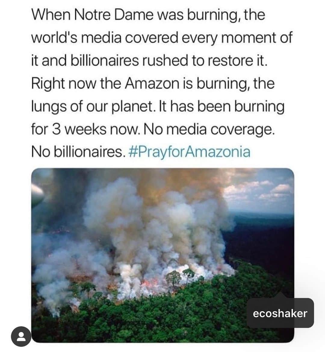 イネス・リグロンさんのインスタグラム写真 - (イネス・リグロンInstagram)「Crazy frustrating... same in Siberia, near Russia, it has been burning non-stop also the lungs of our planet, but zero media coverage....」8月22日 4時05分 - inesligron
