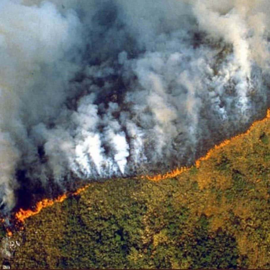 Jackson Harriesさんのインスタグラム写真 - (Jackson HarriesInstagram)「The lungs of the planet are on fire right now!! 🔥 🚨 The Amazon rainforest has been burning for weeks but has received almost no news coverage. When Notre-Dame burnt, billionaires and politicians emptied their pockets but when the most important ecosystem on earth is on fire we turn a blind eye. The world’s greatest cathedral is burning and there’s no rebuilding this one!!! 😢 Please help spread awareness. #prayforamazonia First 📷 by @mohsinkazmitakespictures」8月22日 4時07分 - jackharries